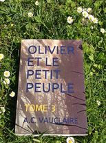 Présentation de « Olivier et le Petit Peuple – tome 3 »