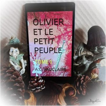 Avis lecture de Visionbykri sur le tome 1 de Olivier et le Petit Peuple